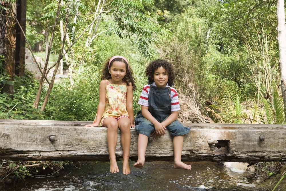 小川に架かる木製�の橋の上に座っている2人の子供