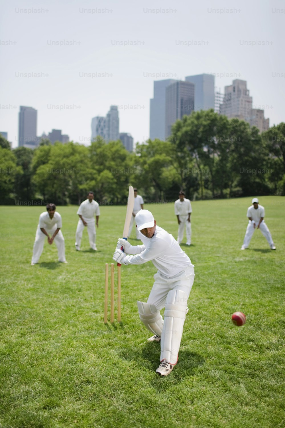 a group of men playing a game of cricket