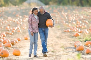 a man and woman walking through a field of pumpkins