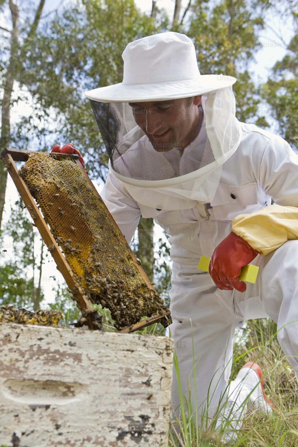 Un hombre con un traje de abeja y una colmena