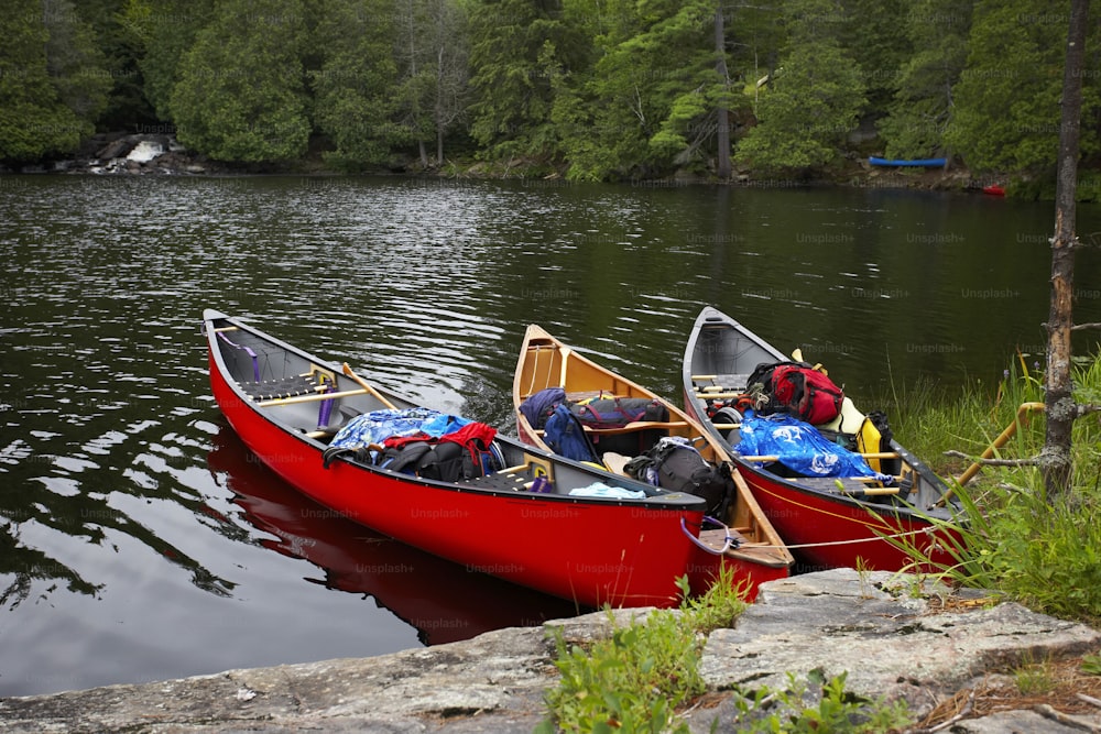two canoes are tied up on the shore of a lake