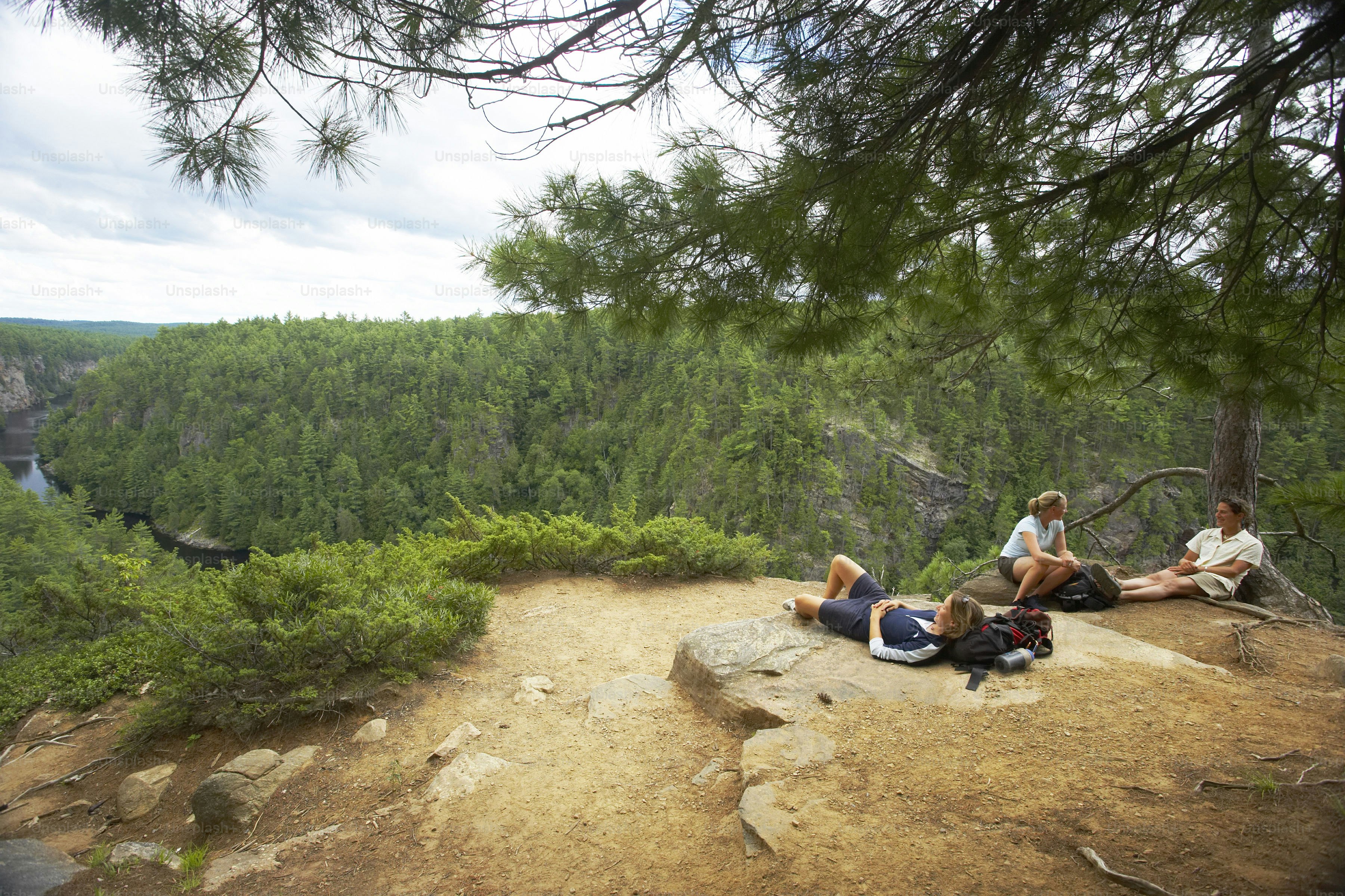 A couple of people sitting on top of a cliff photo – Tree Image on Unsplash