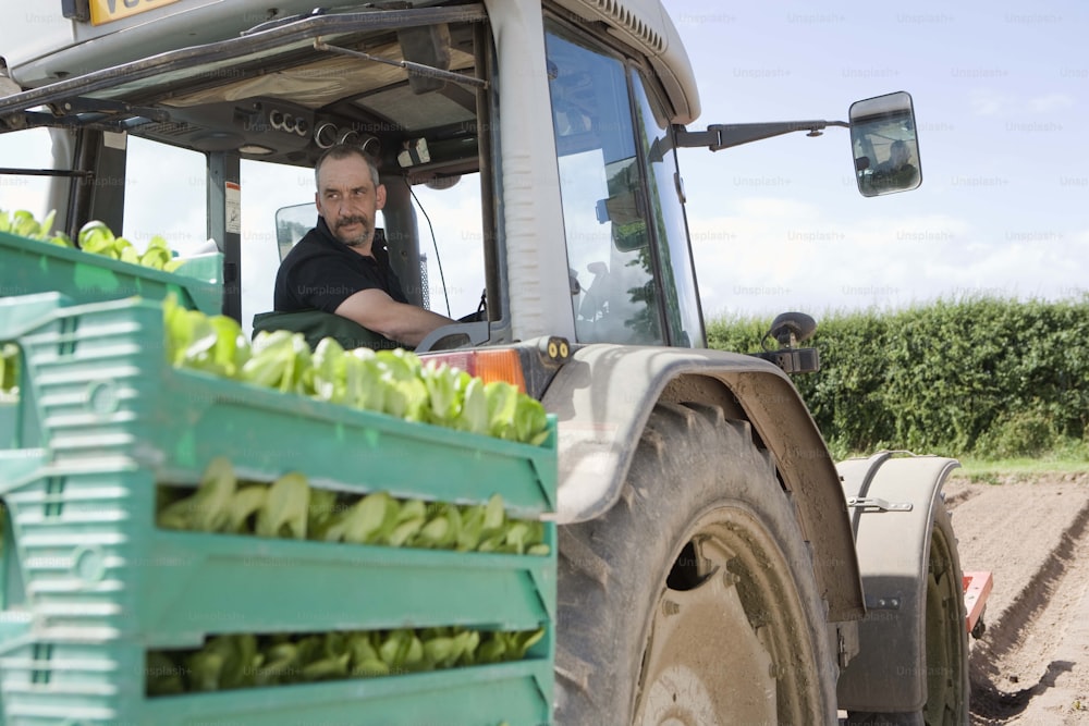 a man driving a tractor filled with green bananas