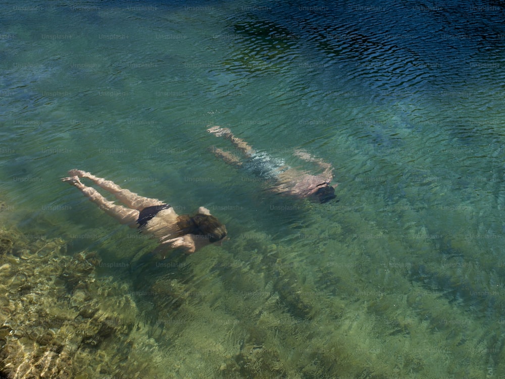 Dos personas nadando en un cuerpo de agua