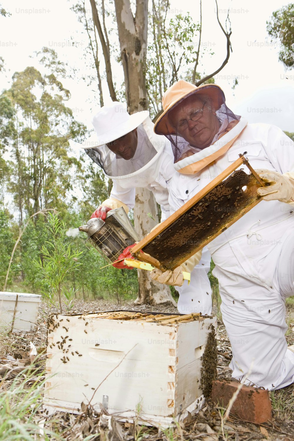 two men in bee suits are inspecting a beehive