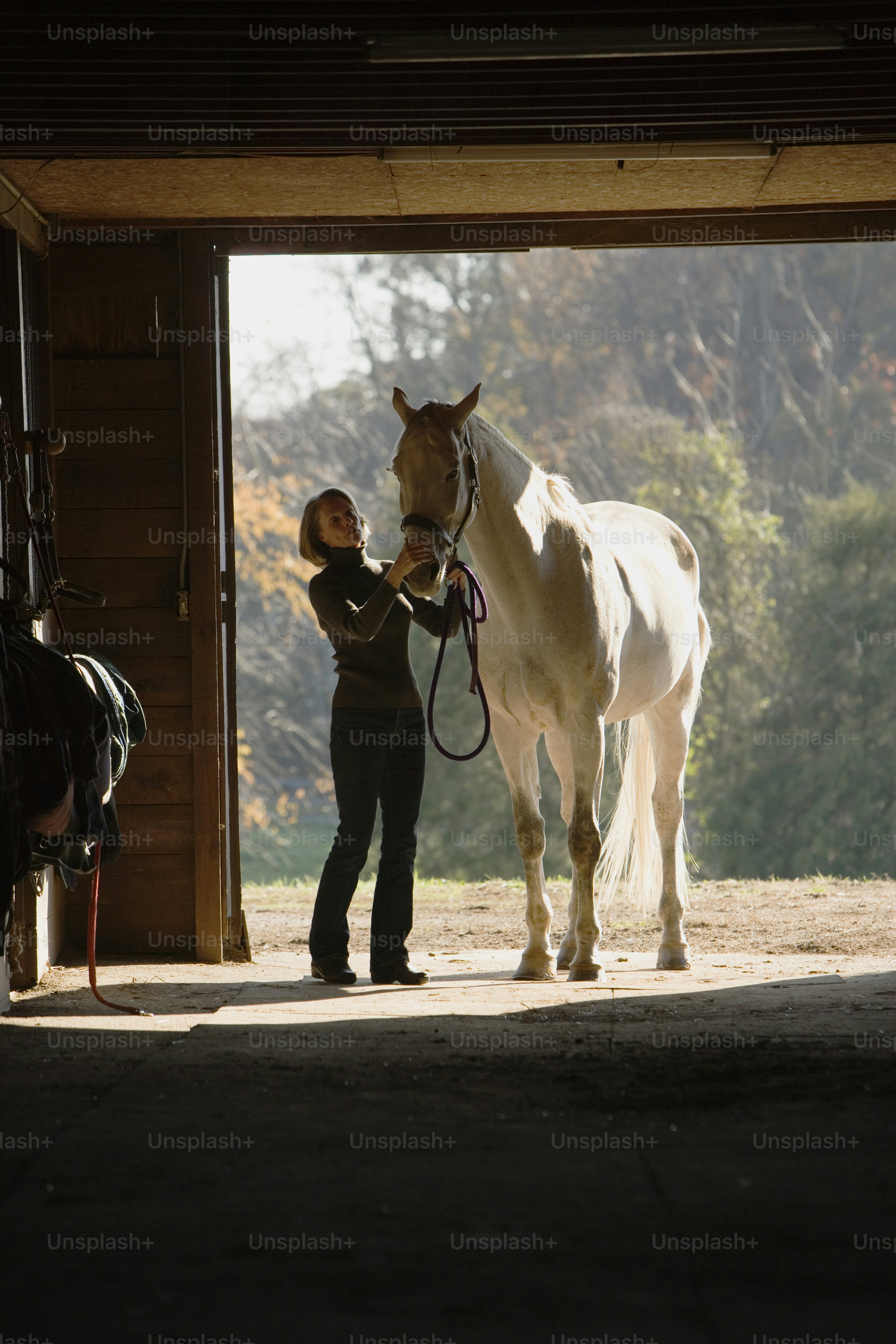 Una mujer parada junto a un caballo blanco