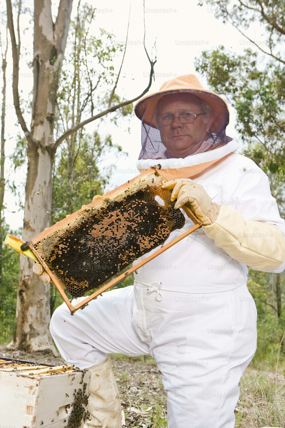 um homem em um terno de abelha segurando uma colmeia