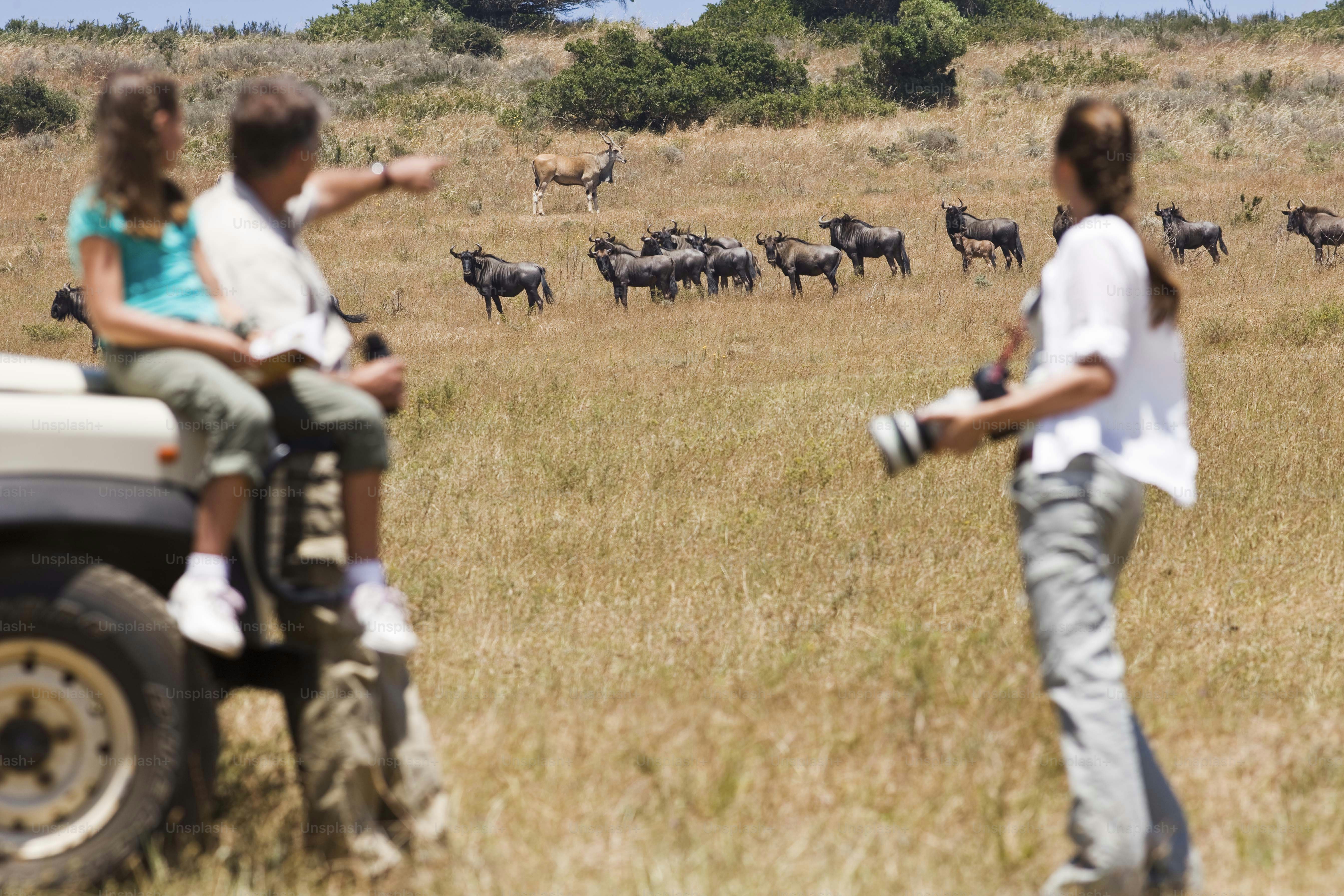 premium_photo 1661895052895 c7163da980cc?w=500&auto=format&fit=crop&q=60&ixlib=rb 4.1