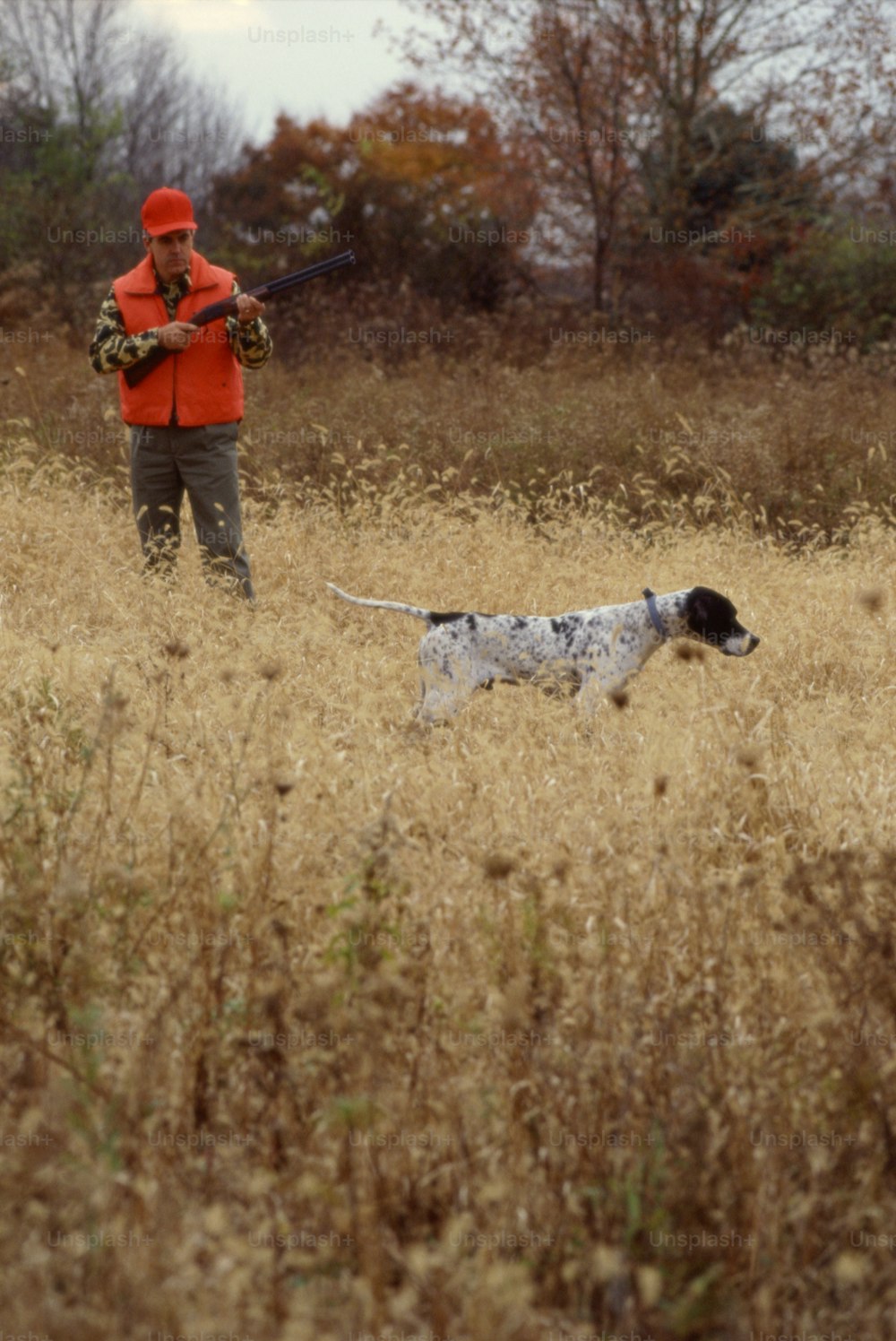 a man with a gun and a dog in a field