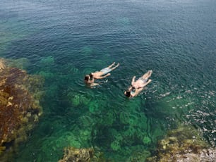 two people swimming in a body of water