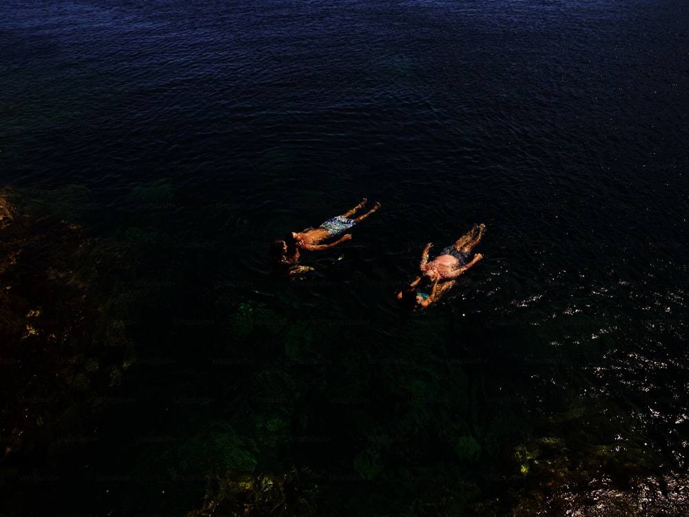 duas pessoas nadando em um corpo d'água