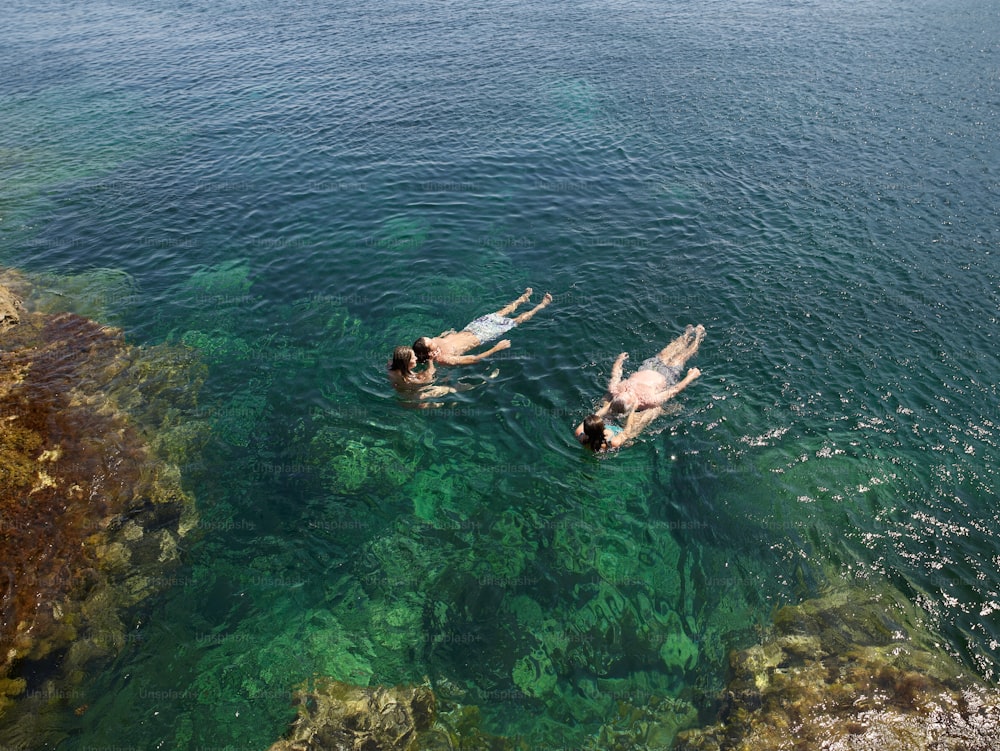 two people swimming in a body of water
