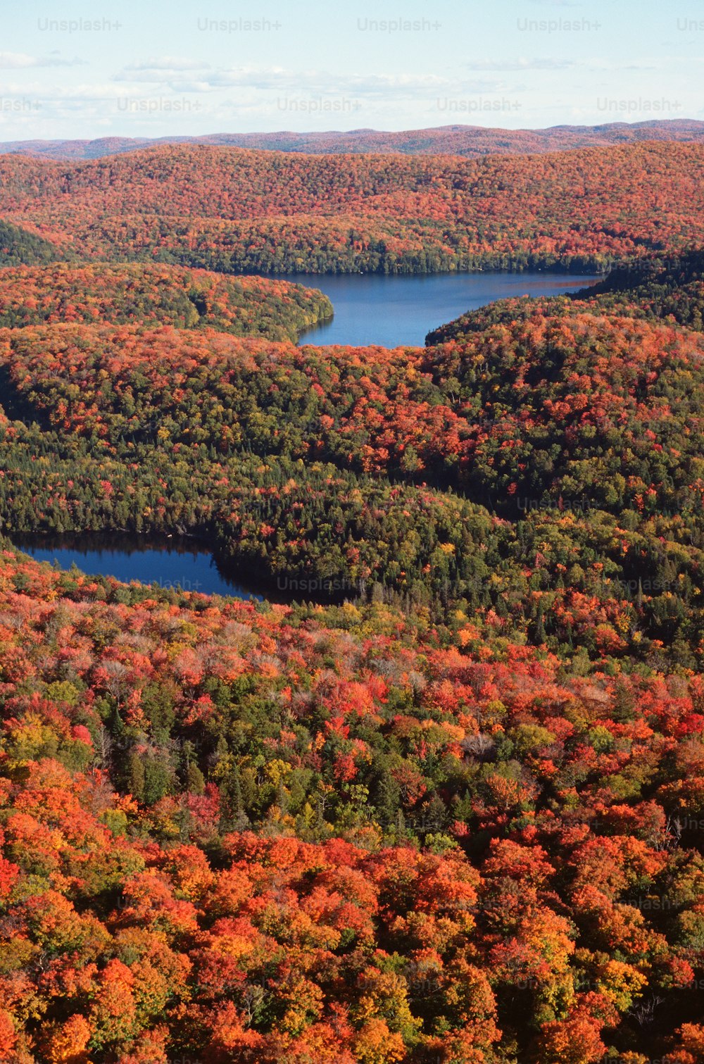 an aerial view of a lake surrounded by trees