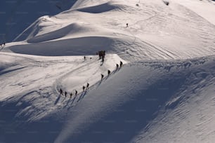 a group of people walking up the side of a snow covered mountain