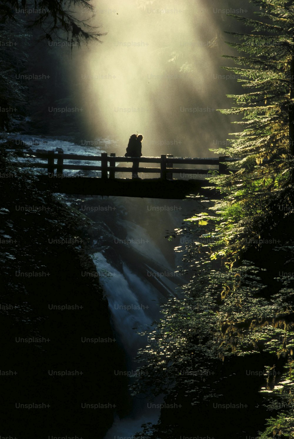 two people standing on a bridge over a river