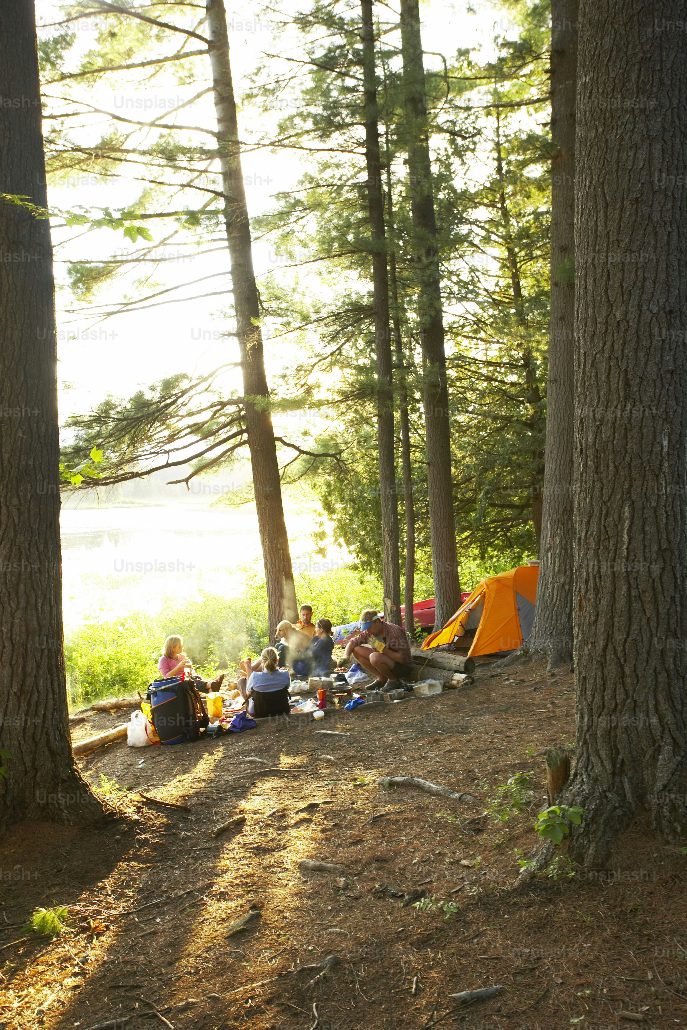 A group of people camping in the woods photo – Forest Image on Unsplash