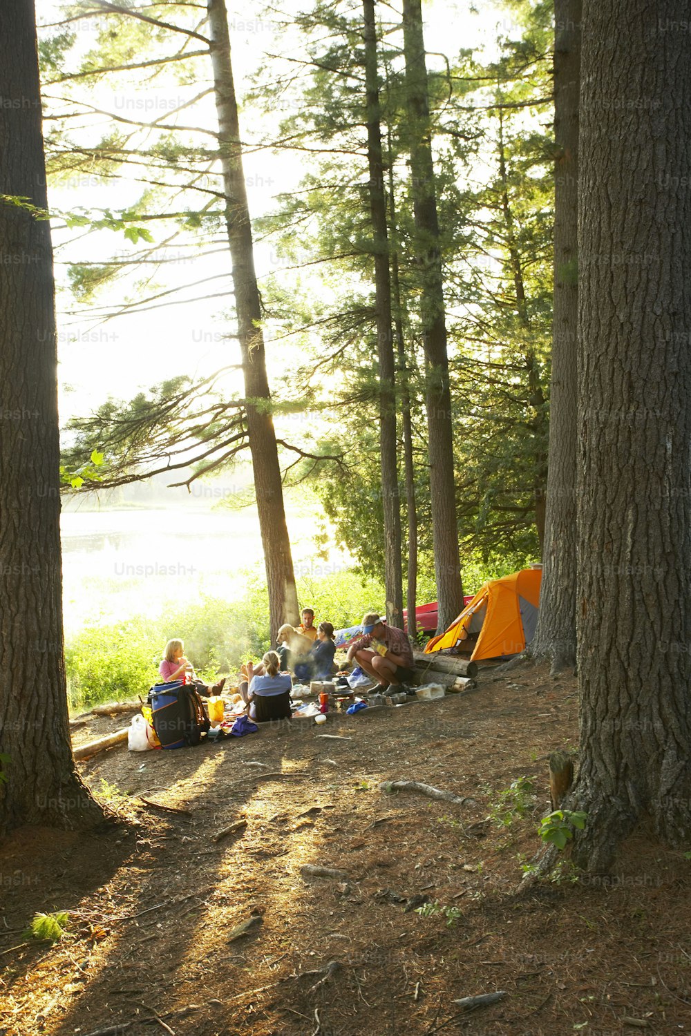 a group of people camping in the woods