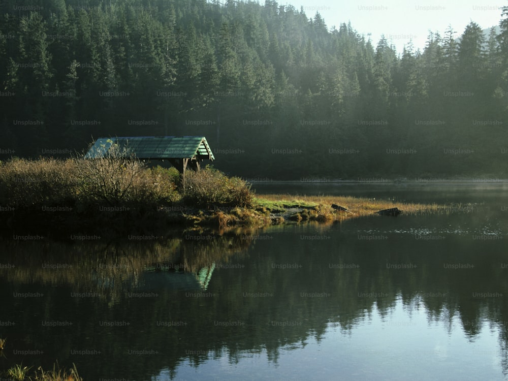 a small house sitting on top of a lake next to a forest