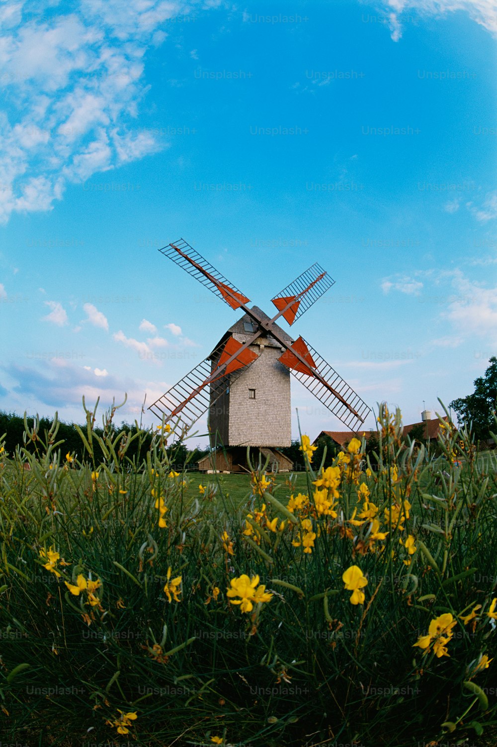a windmill in the middle of a field of flowers