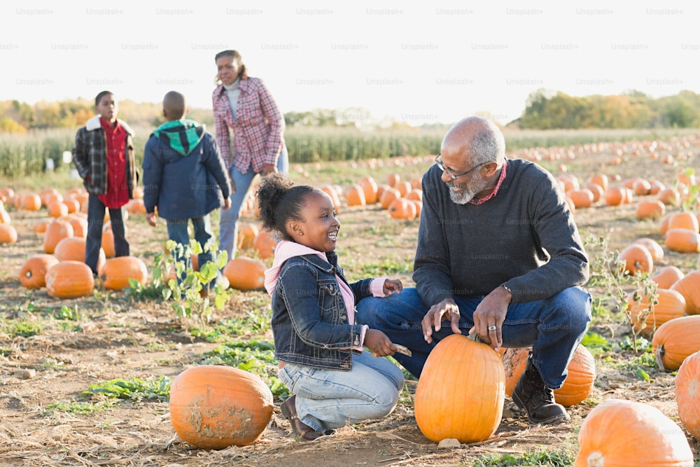 a man and a little girl sitting in a field of pumpkins