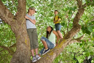 a group of young children sitting on top of a tree