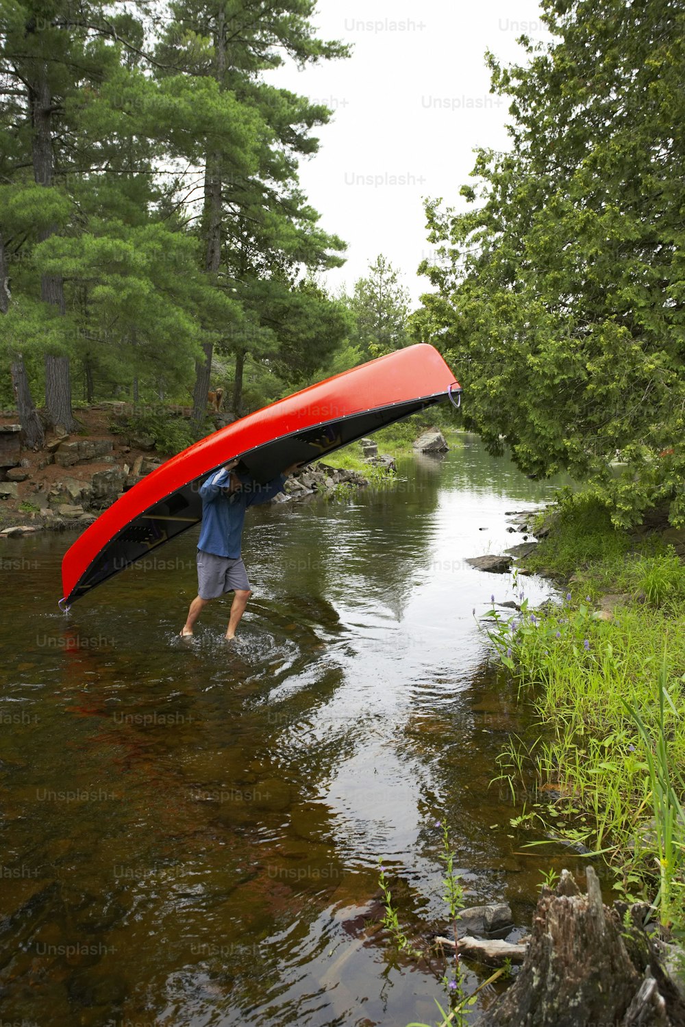 Un uomo che trasporta una canoa attraverso un fiume
