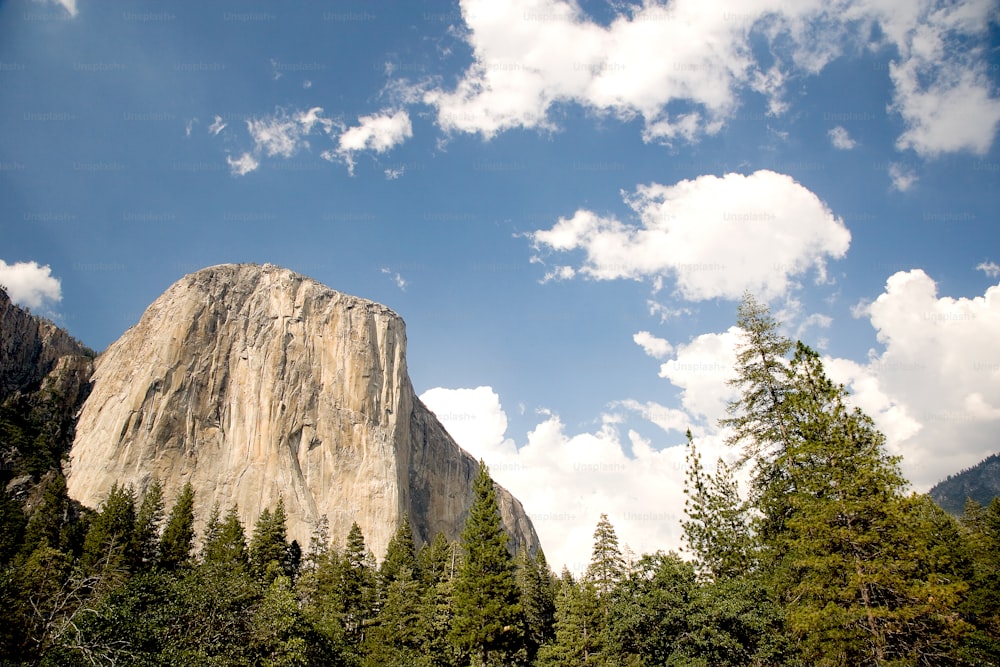 a mountain with trees and clouds in the background