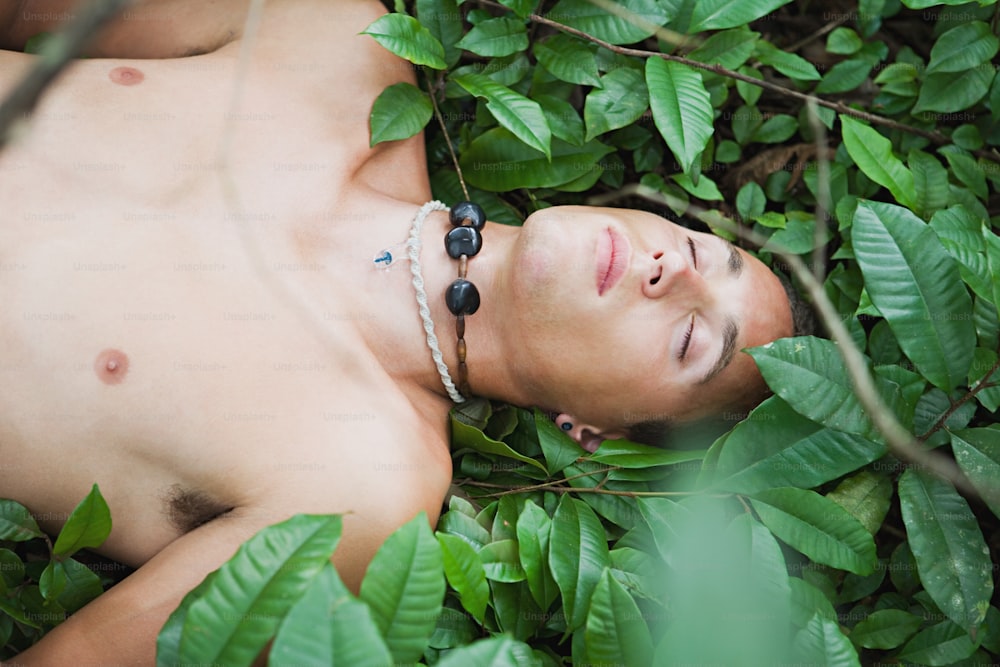 a shirtless man laying in the leaves of a tree