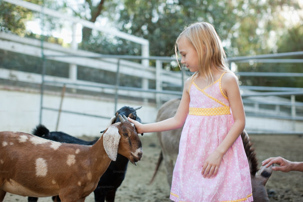 a little girl petting a goat in a pen