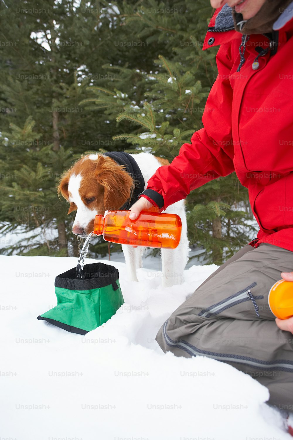 a dog drinking out of a water bottle in the snow