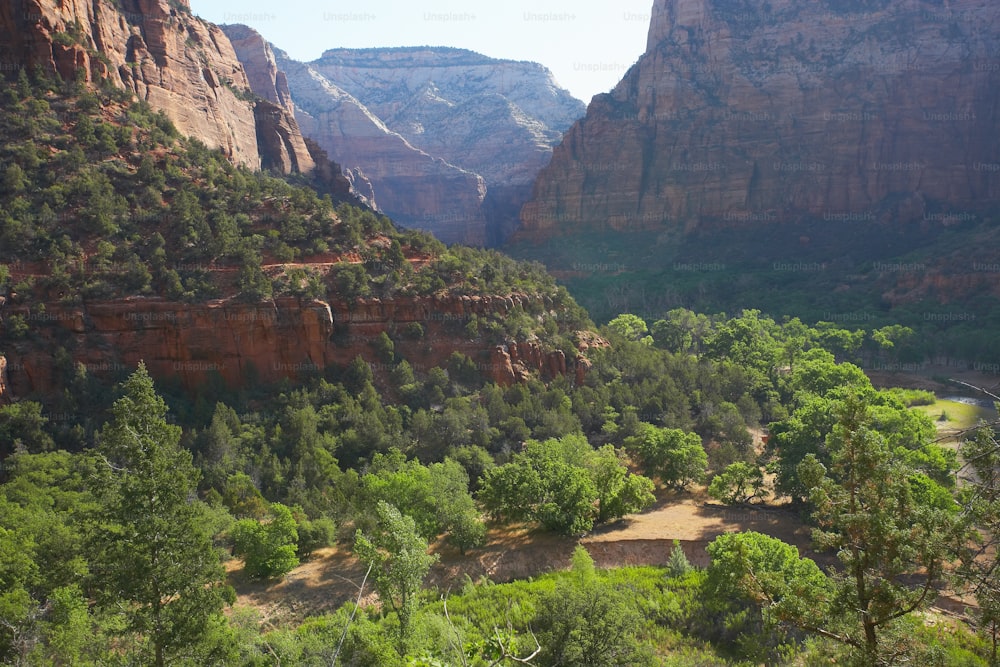 a view of a canyon with trees and mountains in the background