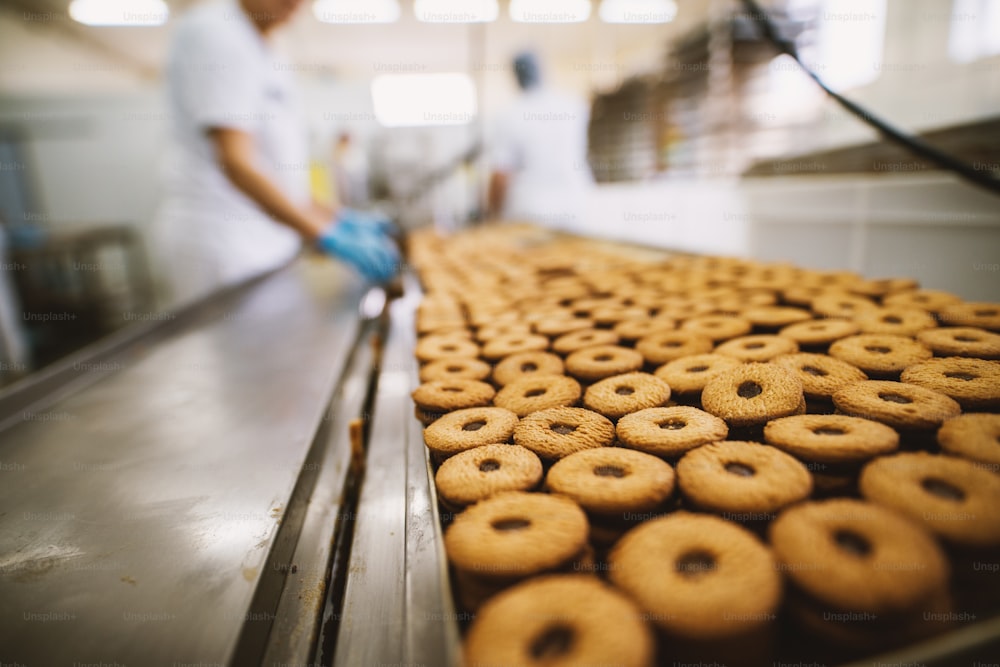 Fábrica de galletas, industria alimentaria. Fabricación. Producción de galletas.