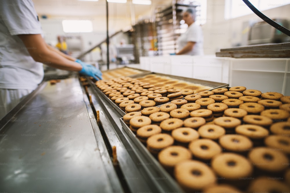 Fabbrica di biscotti, industria alimentare. Fabbricazione. Produzione di biscotti.