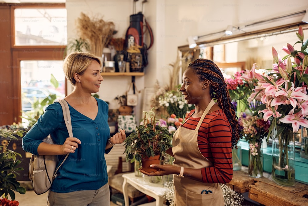 Florista afro-americana auxiliando seu cliente na escolha de vasos de plantas em floricultura.
