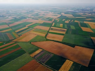 Bird's eyes aerial view photo from flying drone of fields before harvest at summer in the countryside.