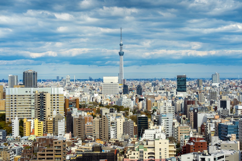 Panorama del paisaje urbano de Tokio en Japón.