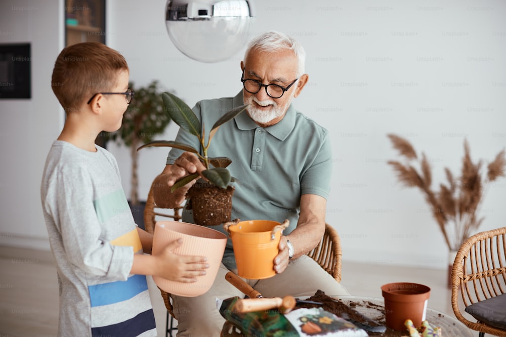 Abuelo y nieto felices trasplantando plantas de interior mientras pasan tiempo juntos.