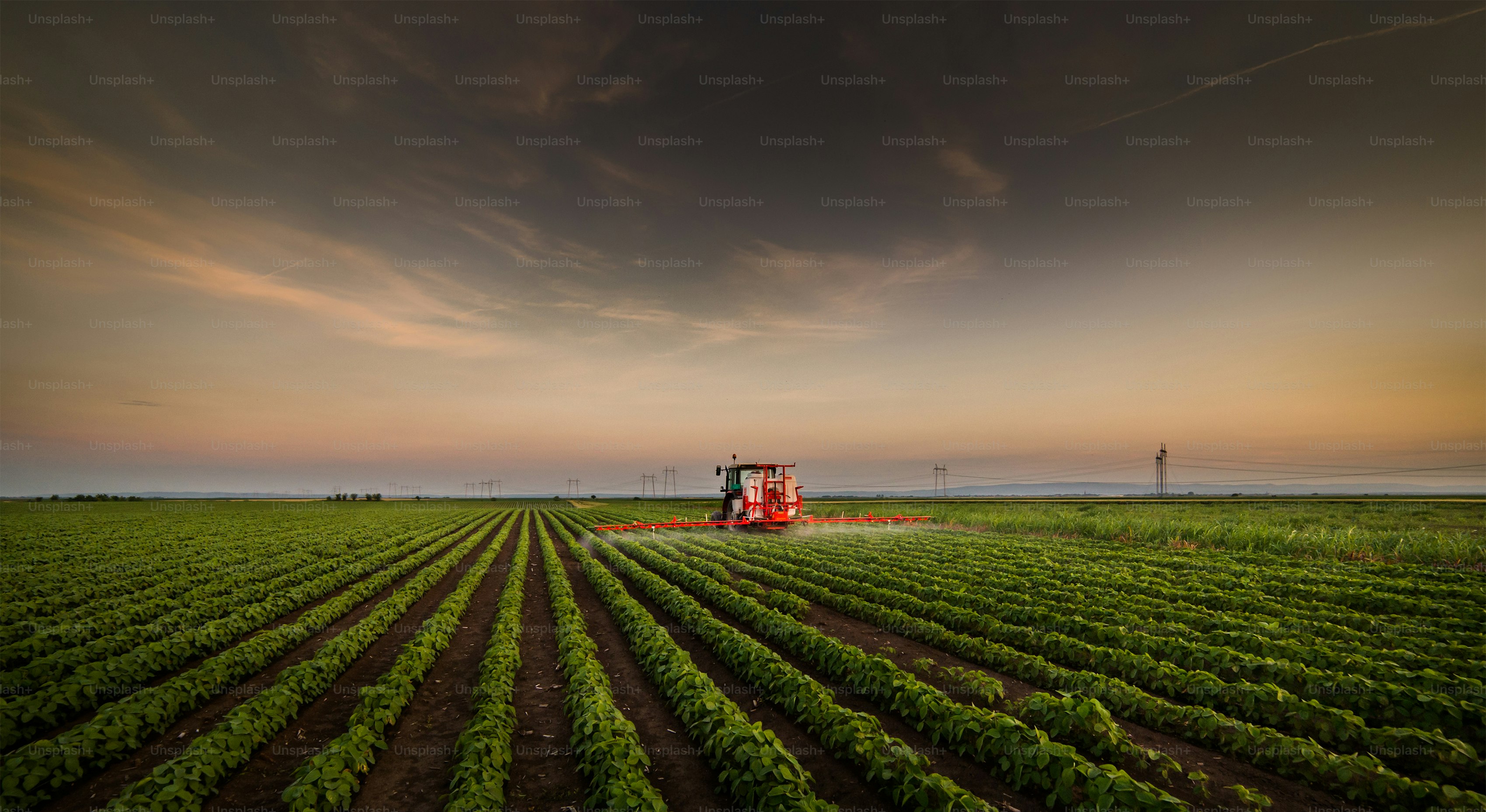 Tractor spraying pesticides on soy field  with sprayer at spring