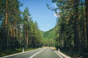 Beautiful mountain road with trees, forest and mountains in the backgrounds. Taken at state highway road of Dolomites mountain in Italy.