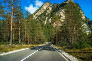 Bela estrada de montanha com árvores, floresta e montanhas ao fundo. Tomada na estrada rodoviária estadual da montanha Dolomitas na Itália.