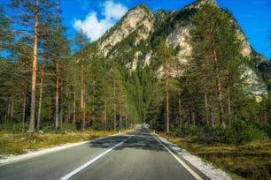 Belle route de montagne avec des arbres, de la forêt et des montagnes en arrière-plan. Photo prise sur la route nationale des Dolomites en Italie.