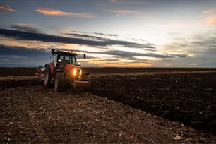 tractor plows the field in the evening at sunset.