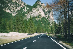 Bella strada di montagna con alberi, boschi e montagne sullo sfondo. Scattata sulla strada statale delle Dolomiti in Italia.