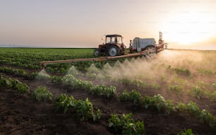 Tractor que rocía pesticidas en el campo de hortalizas con rociador en primavera