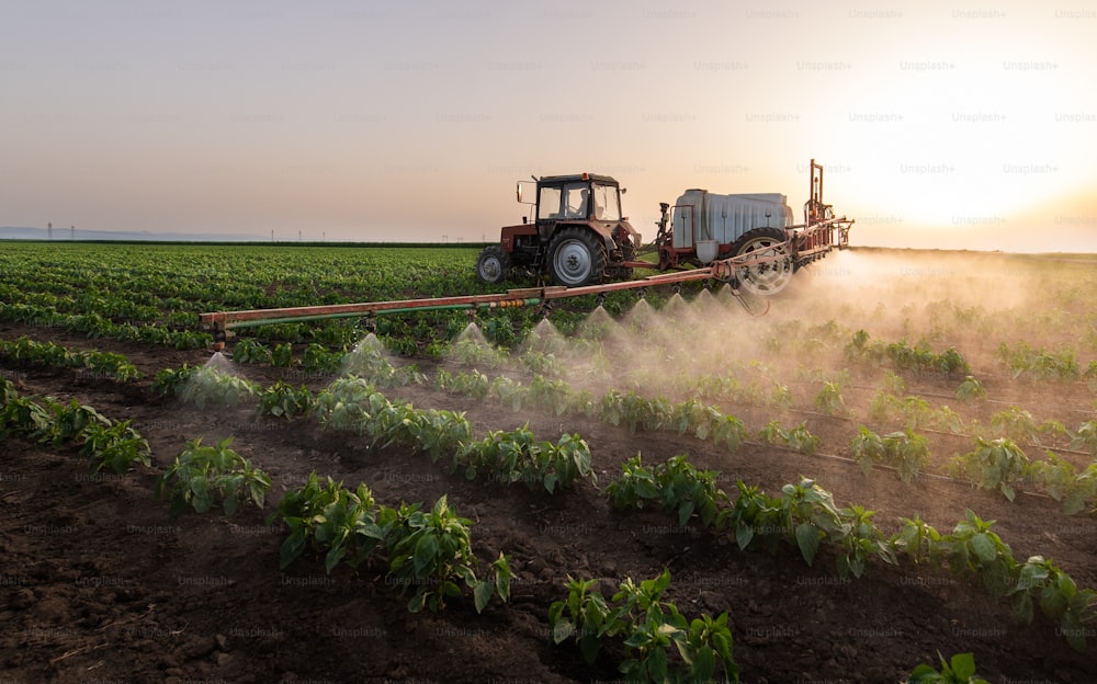 Tracteur pulvérisant des pesticides sur un champ de légumes avec un pulvérisateur au printemps
