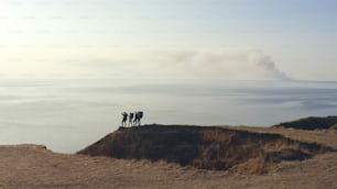 The four tourists walking on the rocky coastline