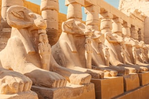 룩소르 또는 고대 테베에서 염소 머리가있는 카르 나크 스핑크스의 유명한 골목. 이집트 여행 목적지