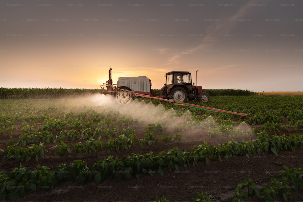 Tracteur pulvérisant des pesticides sur un champ de légumes avec un pulvérisateur au printemps