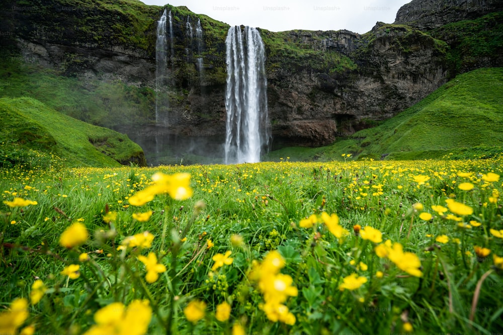 Magica cascata di Seljalandsfoss in Islanda. Si trova vicino alla circonvallazione dell'Islanda meridionale. Maestoso e pittoresco, è uno dei luoghi mozzafiato più fotografati dell'Islanda.