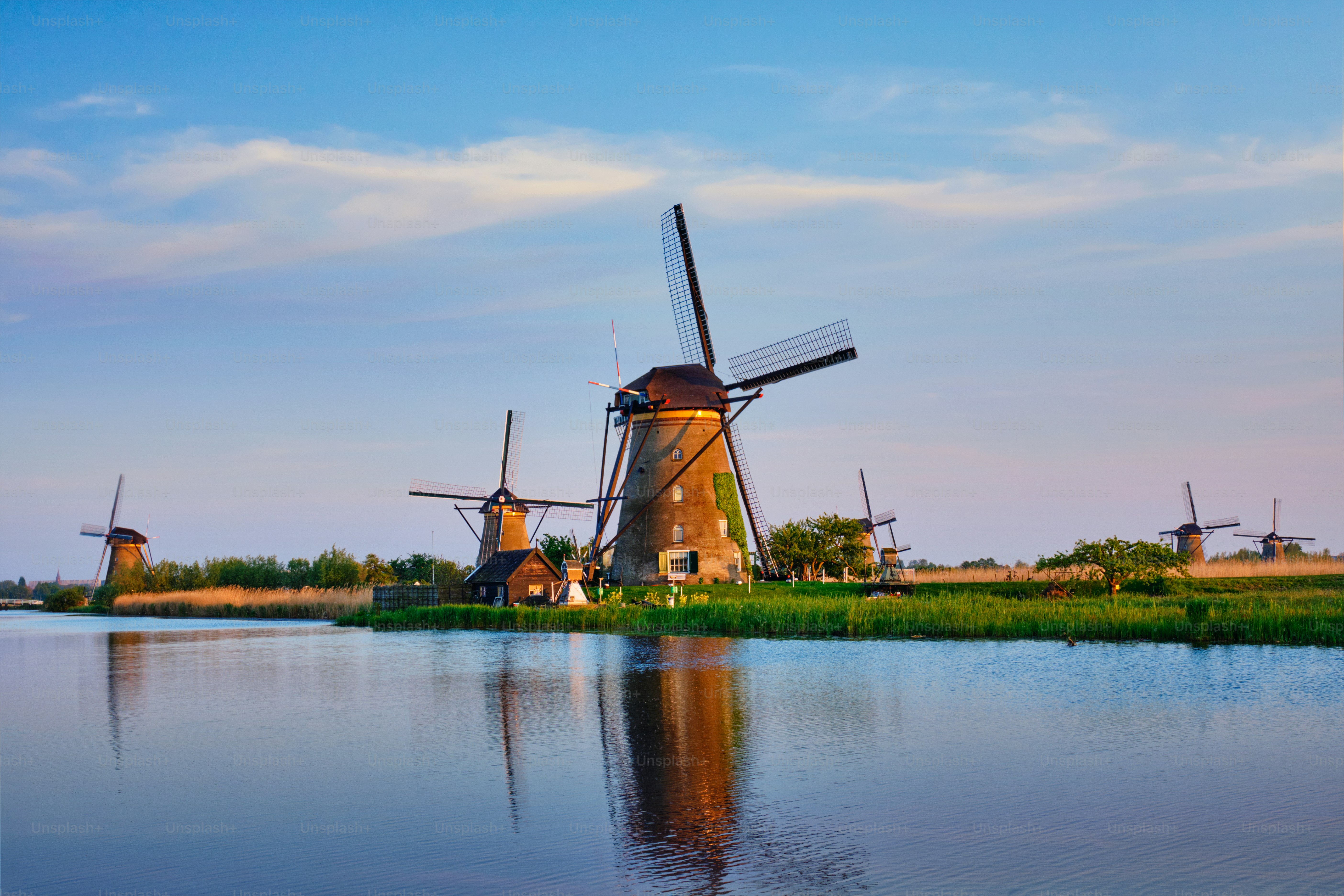 premium_photo-1661908512978-13ed21a23d24?ixlib=rb-4.0.3
